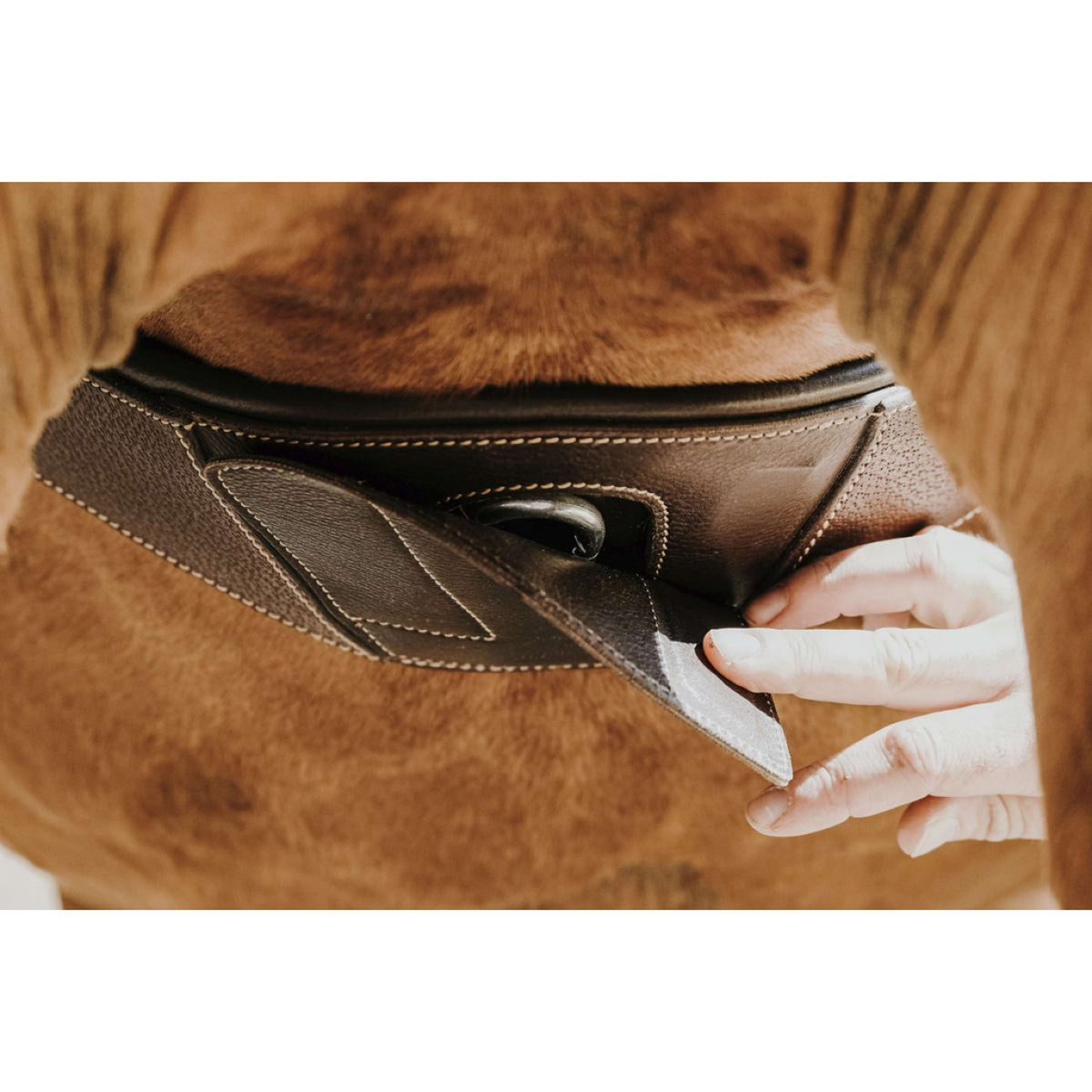 Norton Cincha Magnet Anatomisch Habana