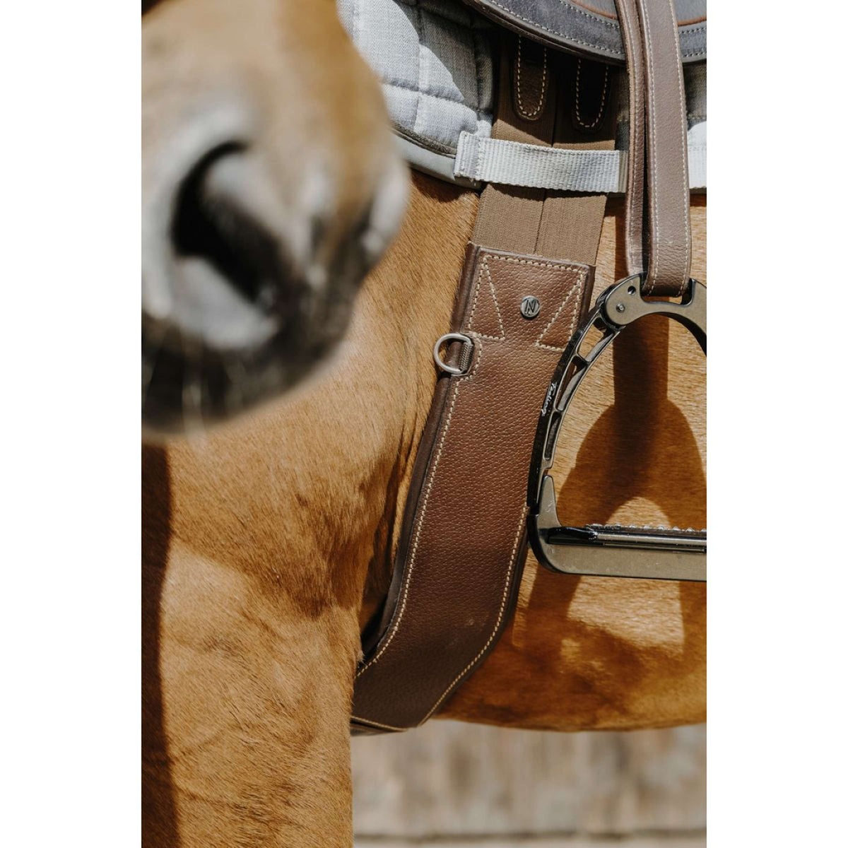 Norton Cincha Magnet Anatomisch Habana