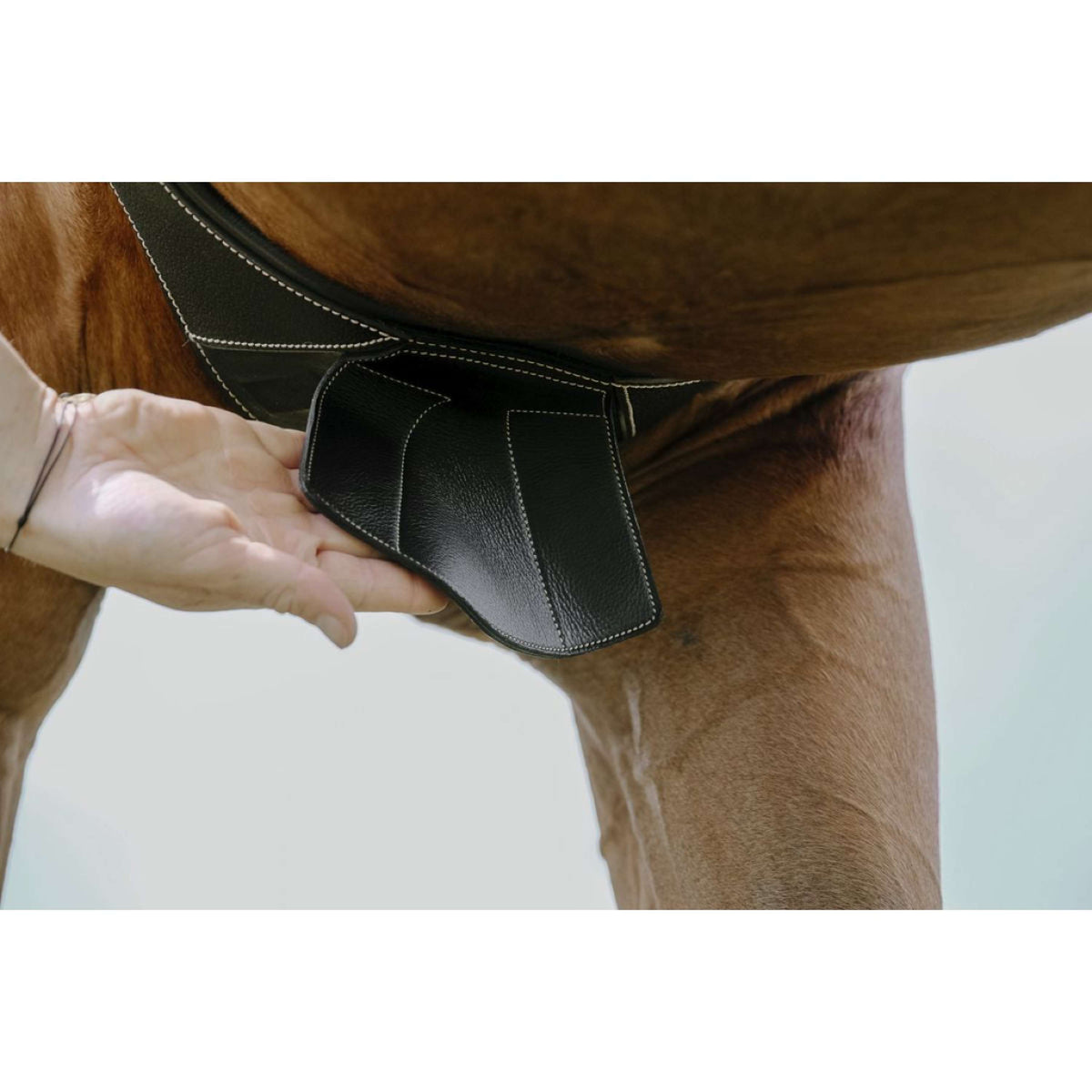 Norton Cincha de Salto Magnet Negro