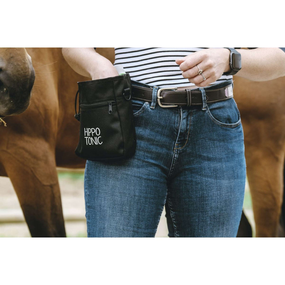 Hippotonic Bolsa de recompensas