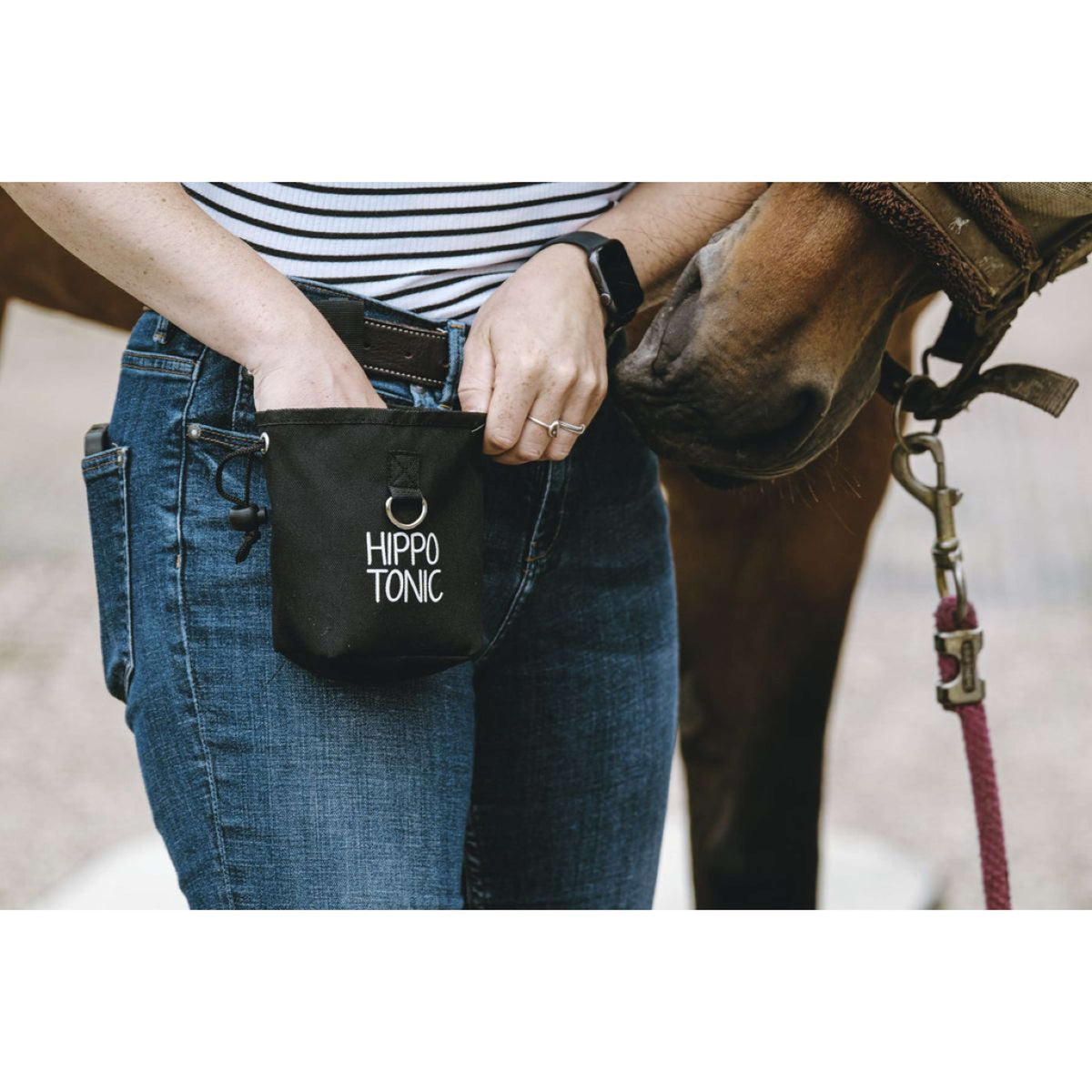 Hippotonic Bolsa de recompensas Klein