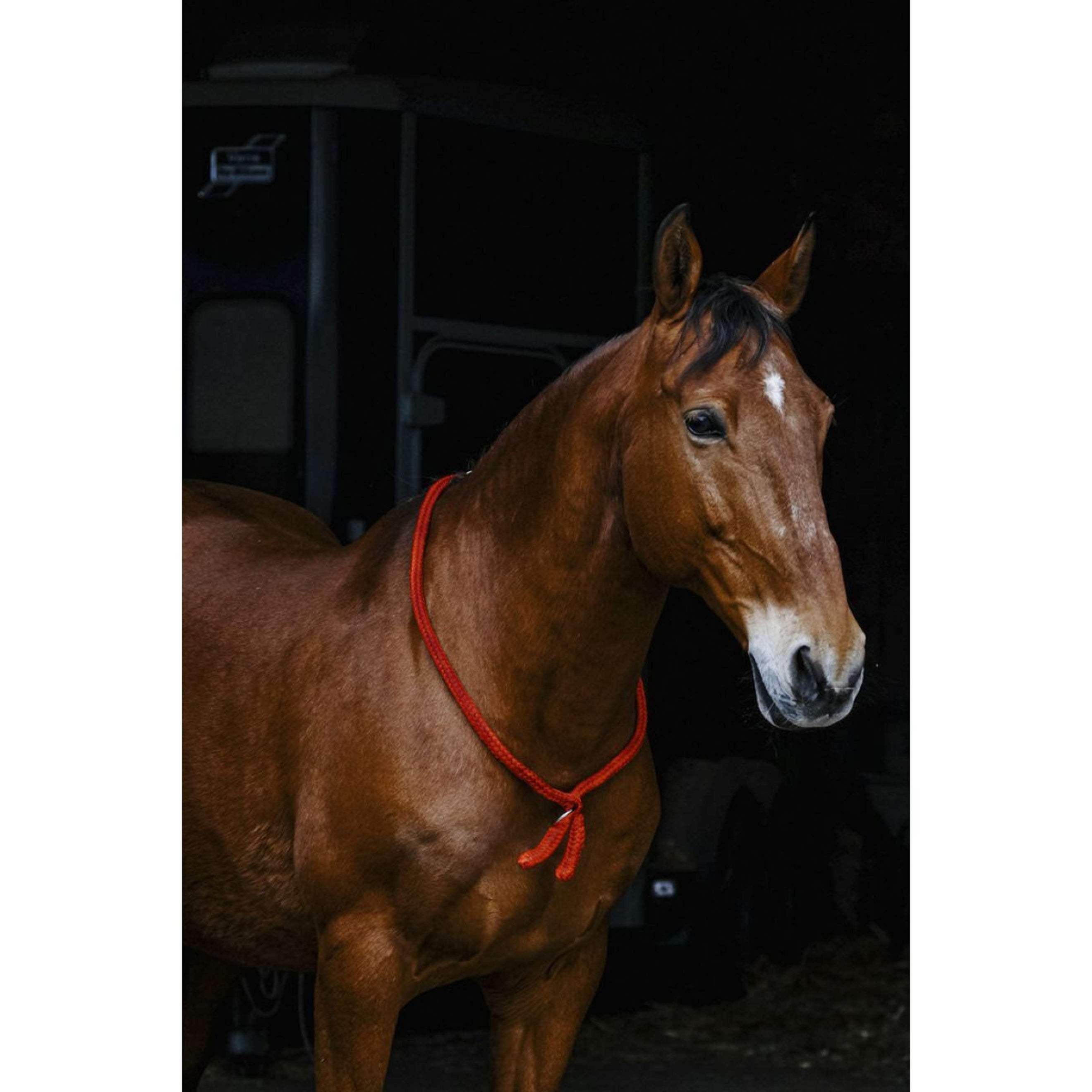 Norton Neckrope Rojo Norton Neckrope Rojo