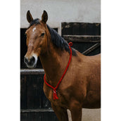 Norton Neckrope Rojo
