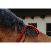 Norton Neckrope Rojo