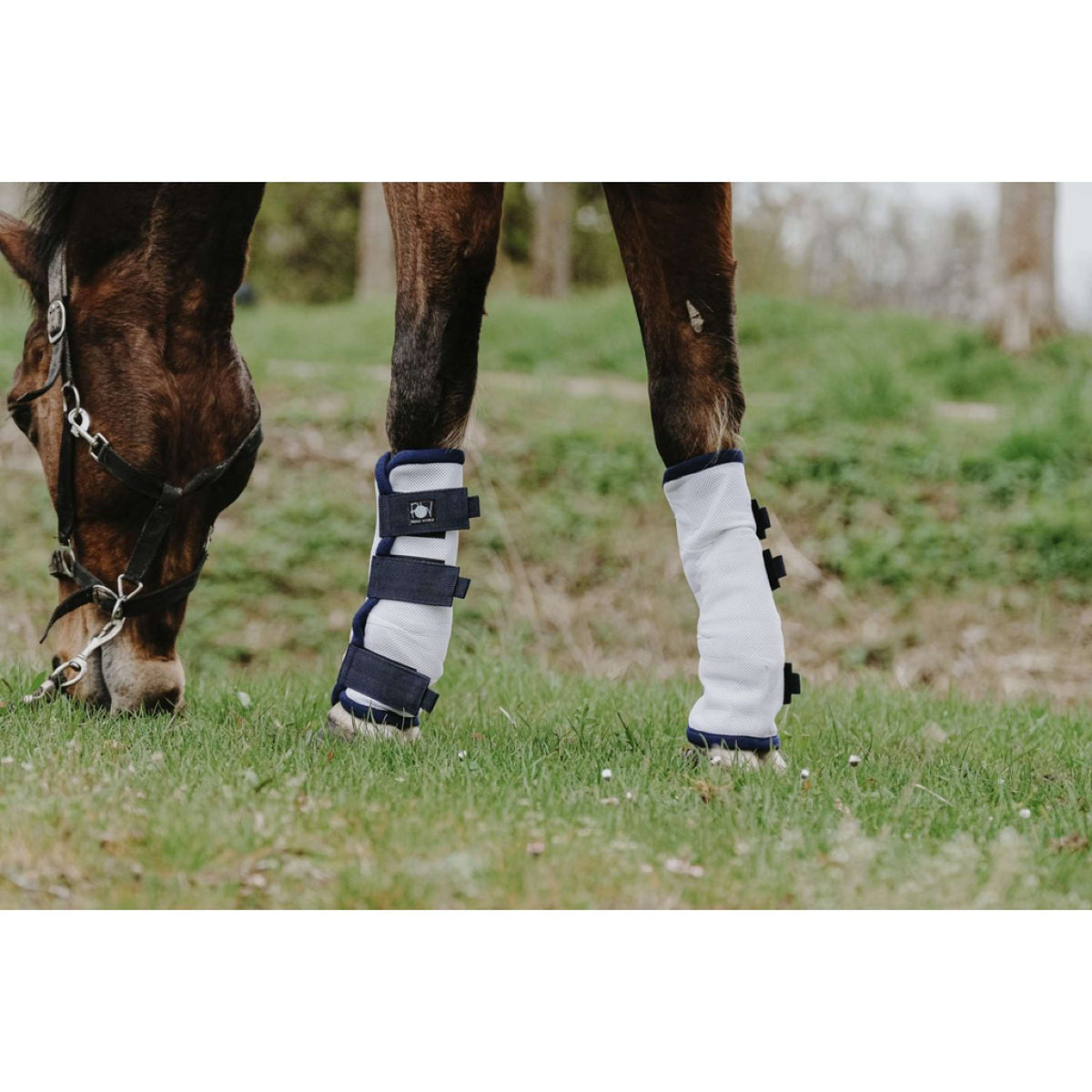 Riding World Protectores anti-moscas Blanco