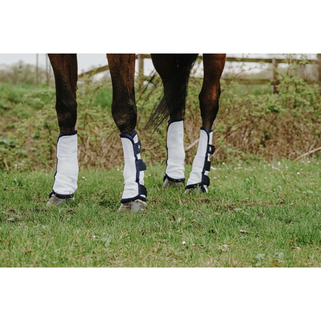 Riding World Protectores anti-moscas Blanco