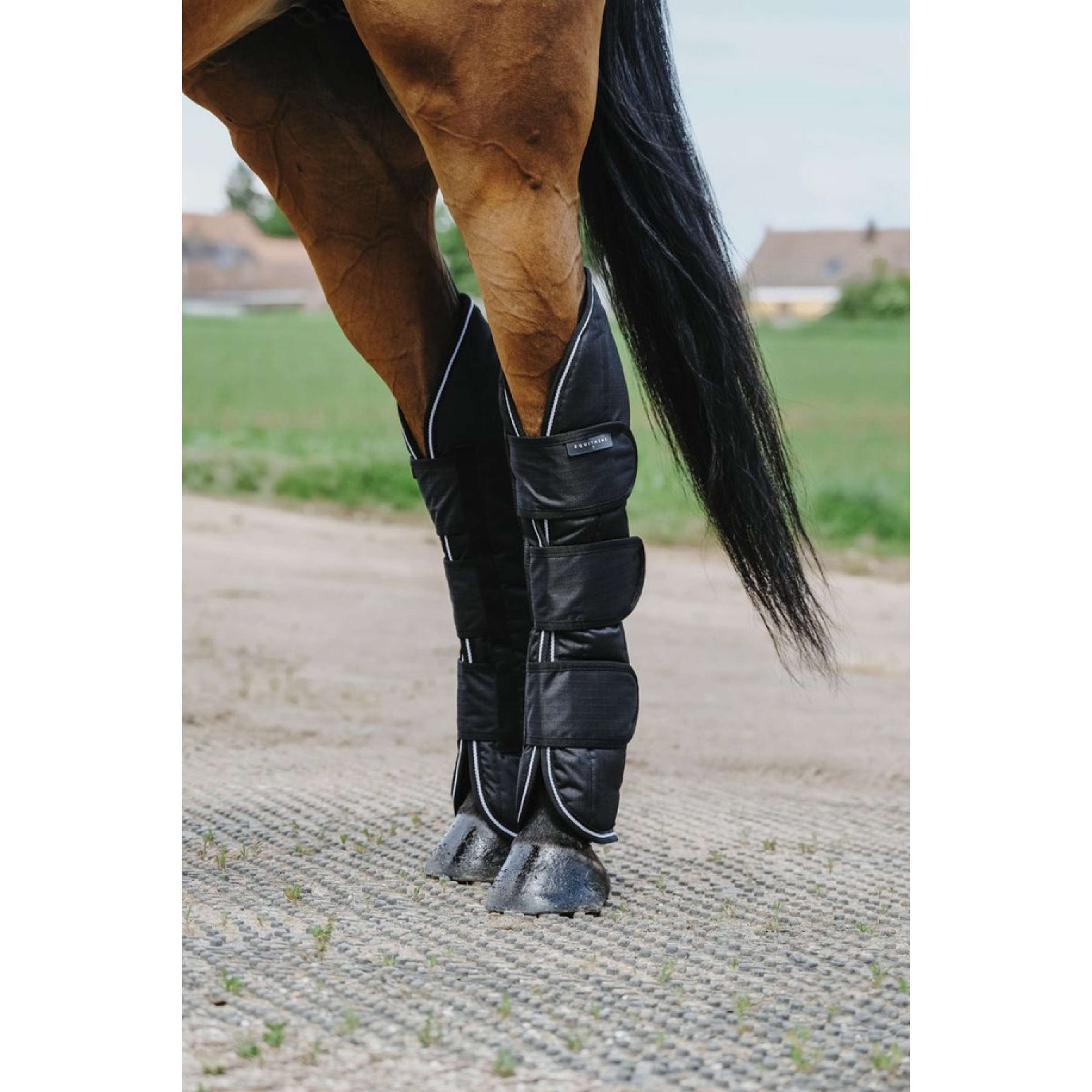 EQUITHÈME Protectores de transporte 600D Negro EQUITHÈME Protectores de transporte 600D Negro