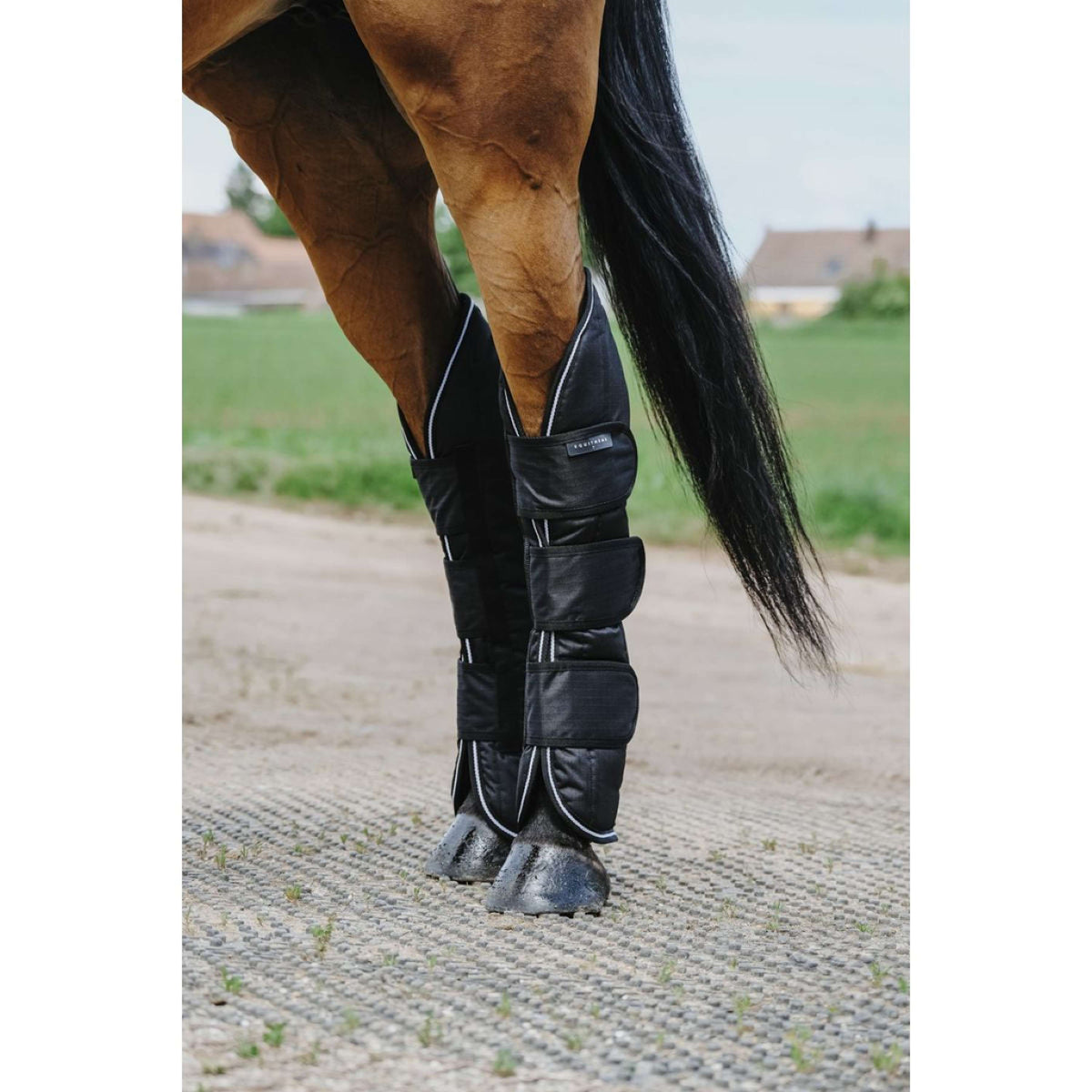 EQUITHÈME Protectores de transporte 600D Negro