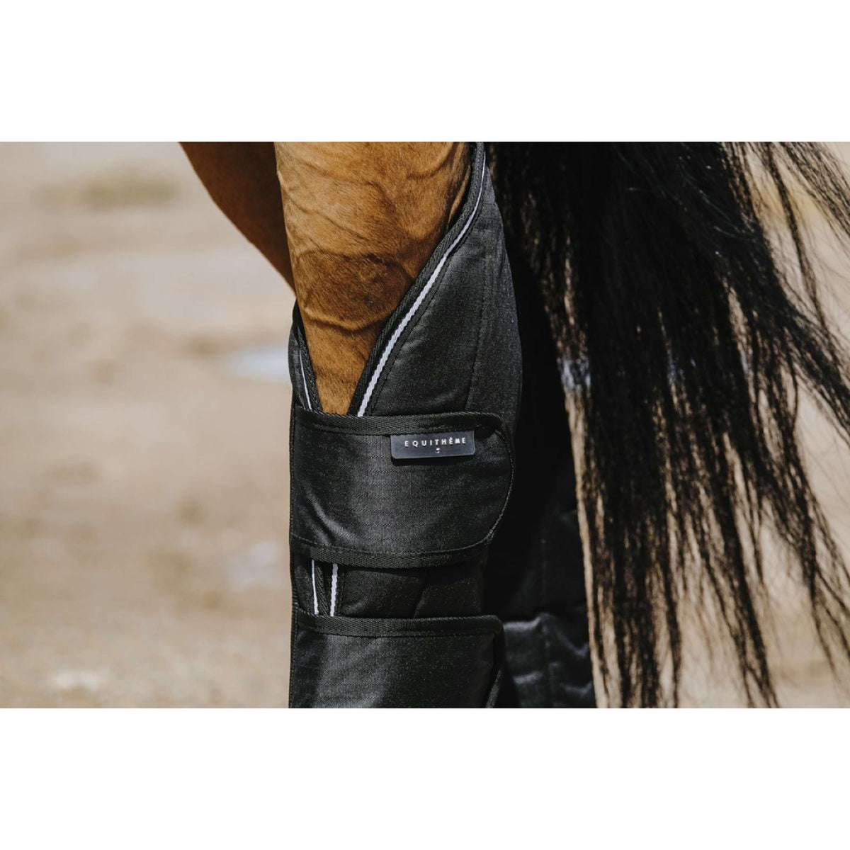 EQUITHÈME Protectores de transporte 600D Negro