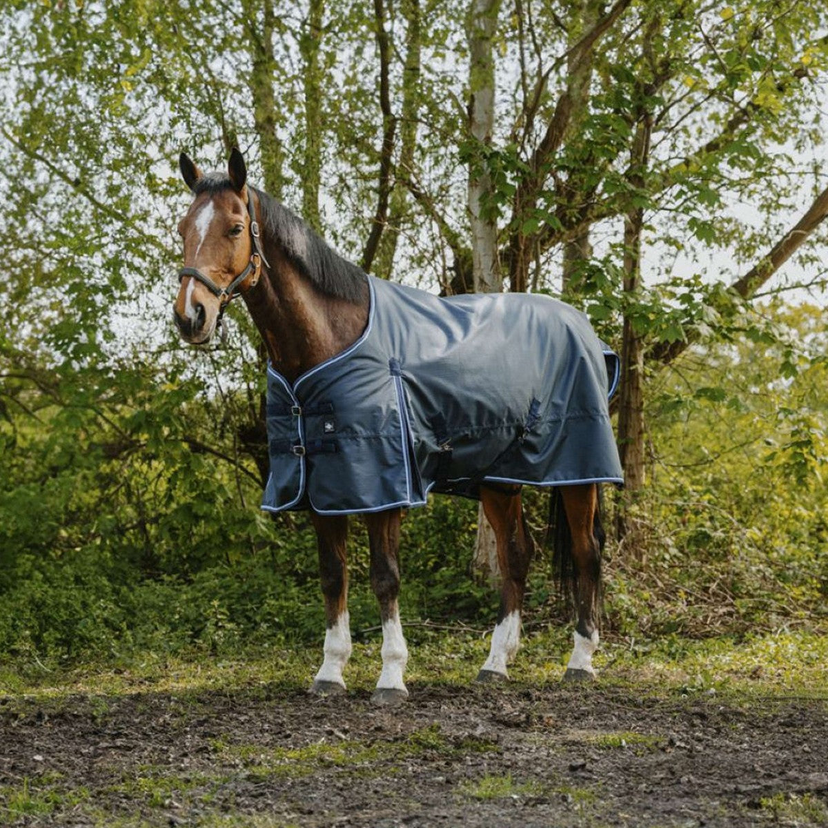 Riding World Alfombra de Exterior Eco 1200D 220g Navy