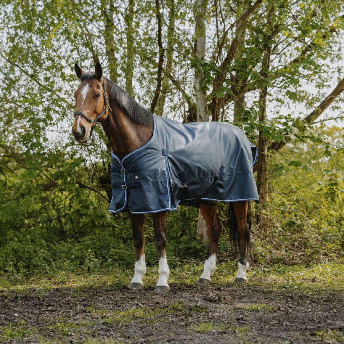Riding World Alfombra de Exterior Eco 1200D 220g Navy