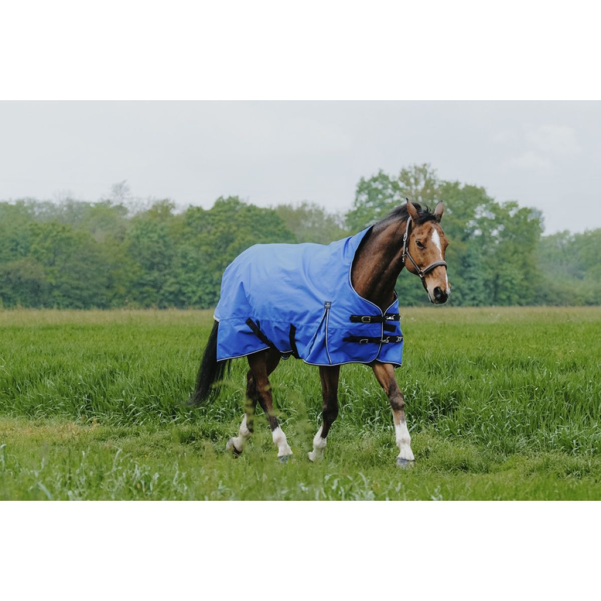EQUITHÈME Alfombra de Exterior 1200D 50g Aisance High Neck Royal Blue