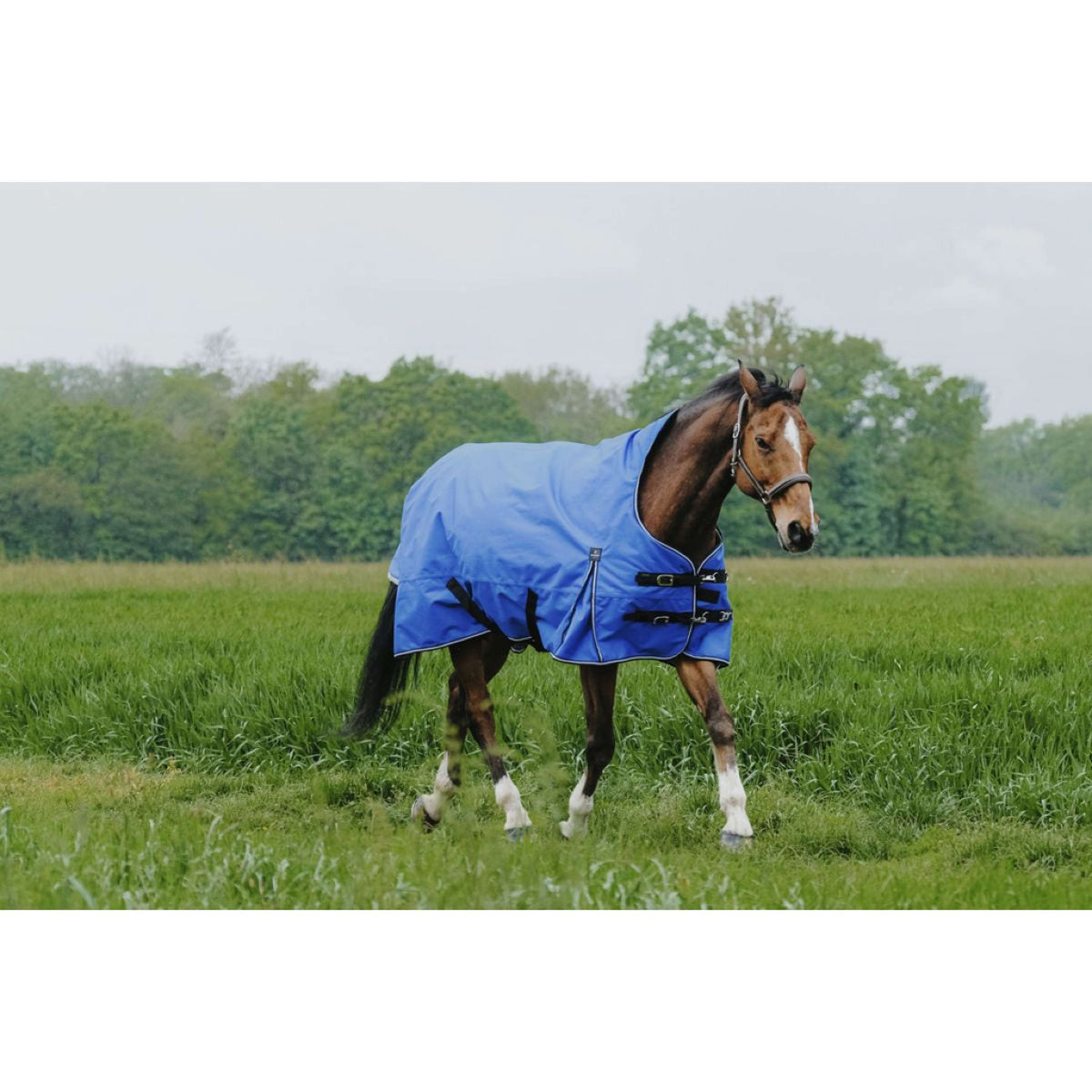EQUITHÈME Alfombra de Exterior 1200D 50g Aisance High Neck Royal Blue