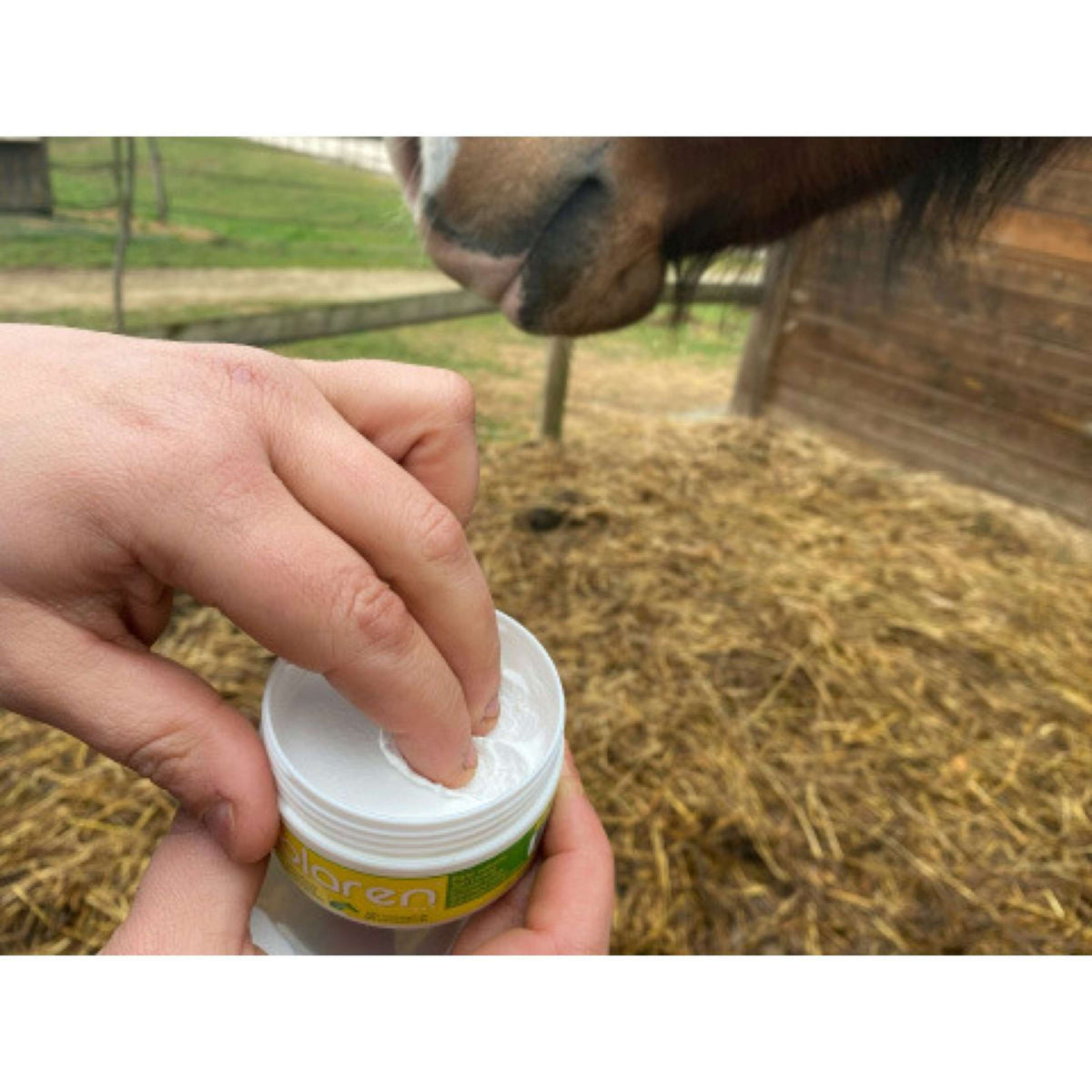 Animaderm Protección Solar Solaren