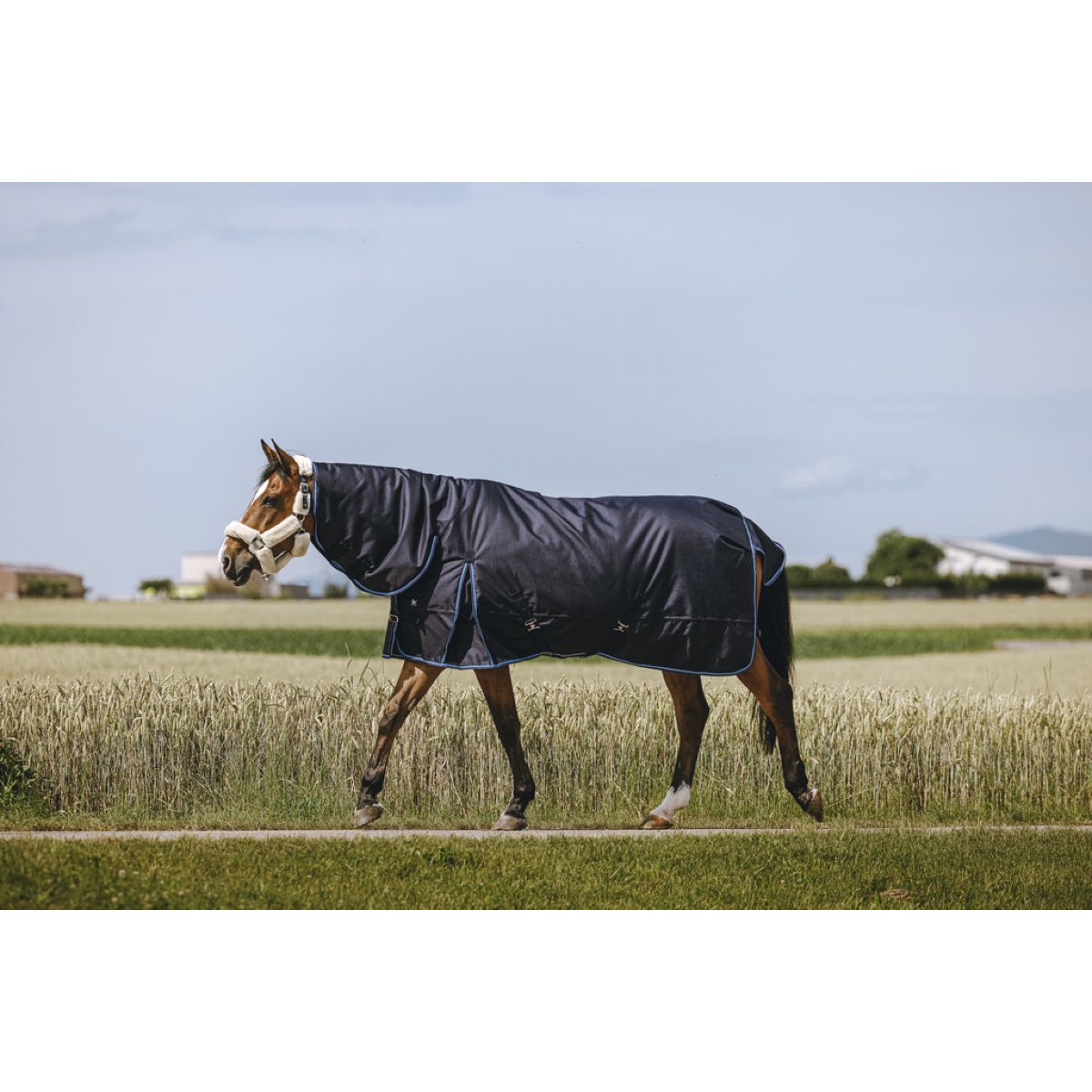 Riding World Alfombra de Exterior Eco 600D Combo 220g Navy