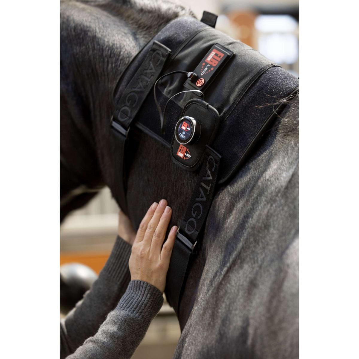 Catago Almohadilla de terapia LED Fir-Tech Q27