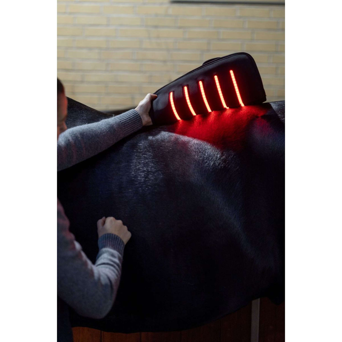 Catago Almohadilla de terapia LED Fir-Tech Q27