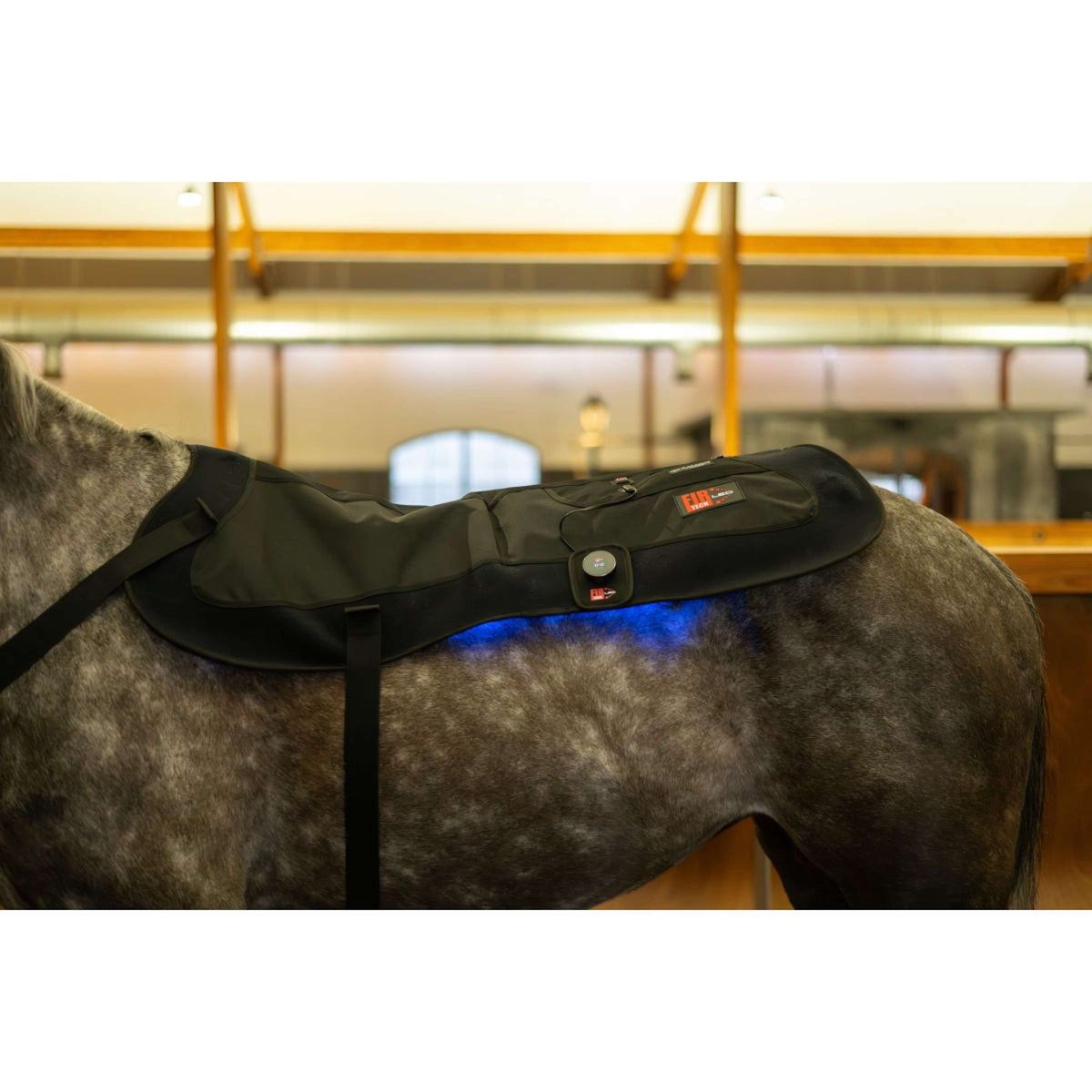 Catago Almohadilla de terapia LED Fir-Tech X84