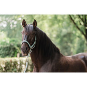 EQPRO Juego de Cabestro Precious Blue Reef