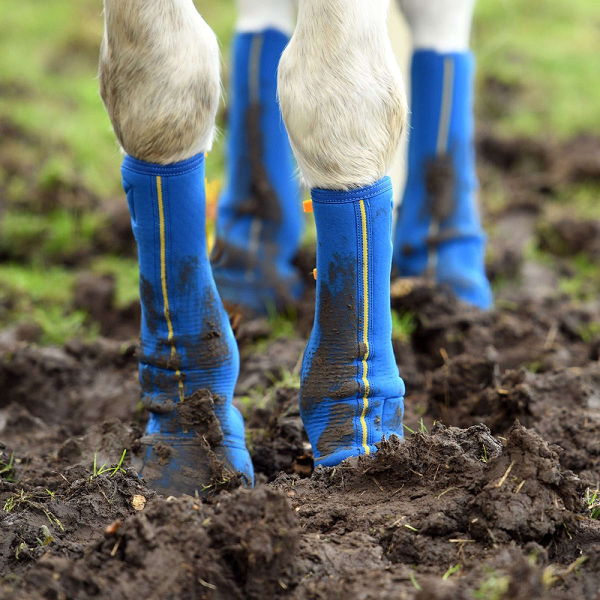 Equilibrium Protectores de piernas Equi-Chaps Close Contact Navy