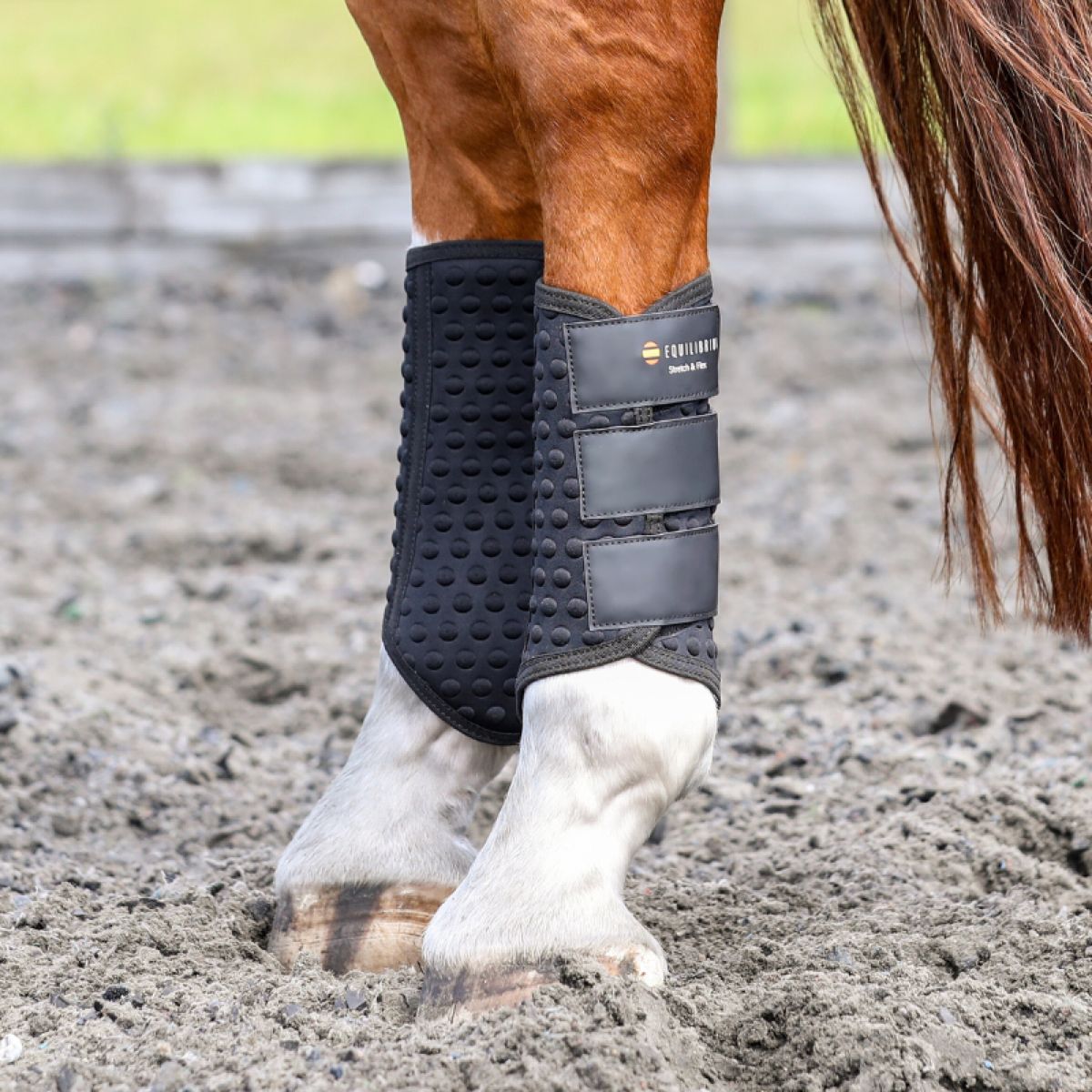 Equilibrium Protectores de piernas Stretch & Flex Flatwork Negro