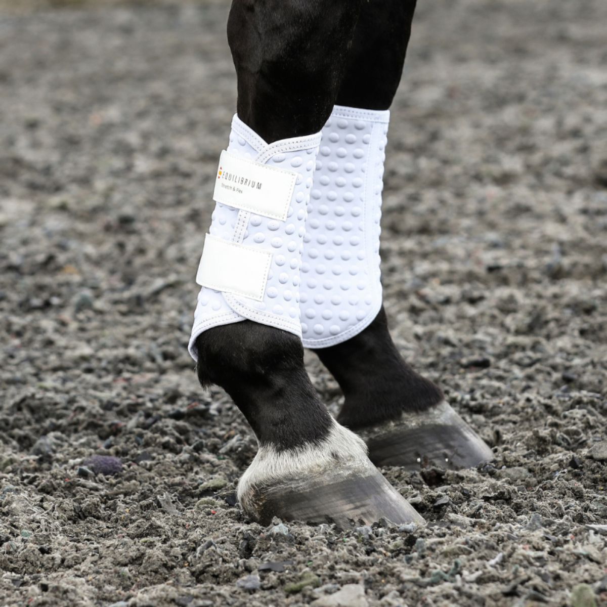 Equilibrium Protectores de piernas Stretch & Flex Flatwork Blanco