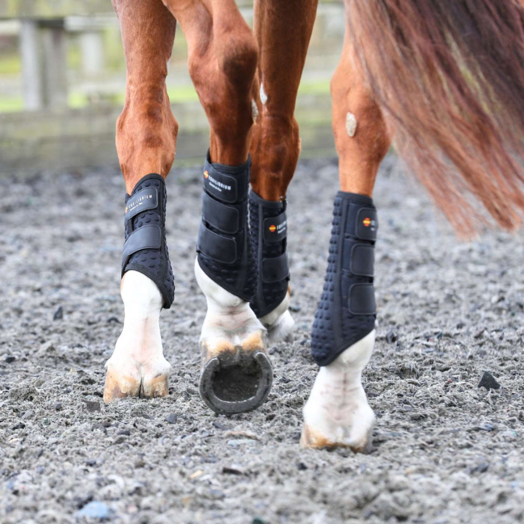 Equilibrium Protectores de piernas Stretch & Flex Flatwork Negro