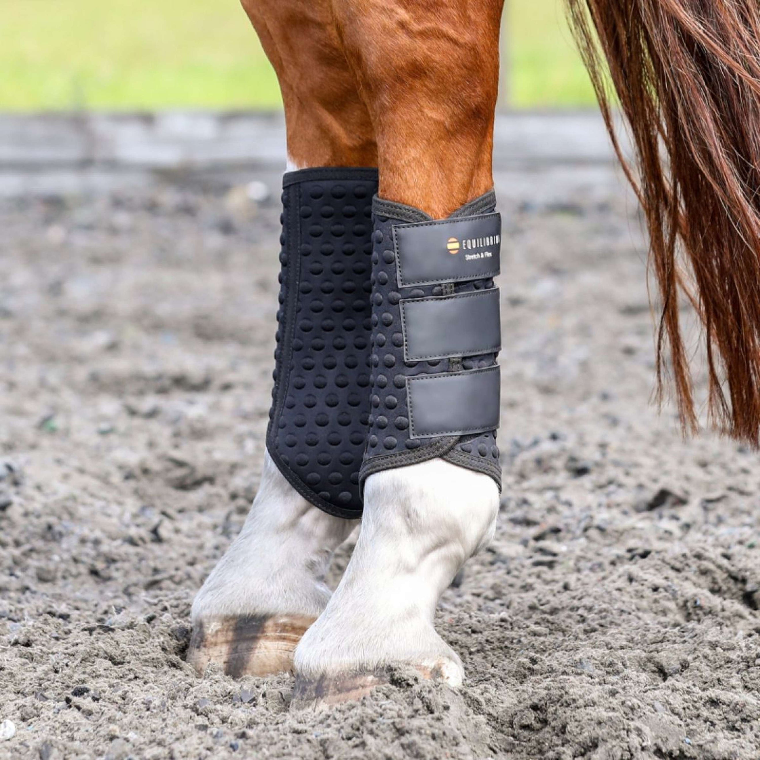 Equilibrium Protectores de piernas Stretch & Flex Flatwork Negro Equilibrium Protectores de piernas Stretch & Flex Flatwork Negro