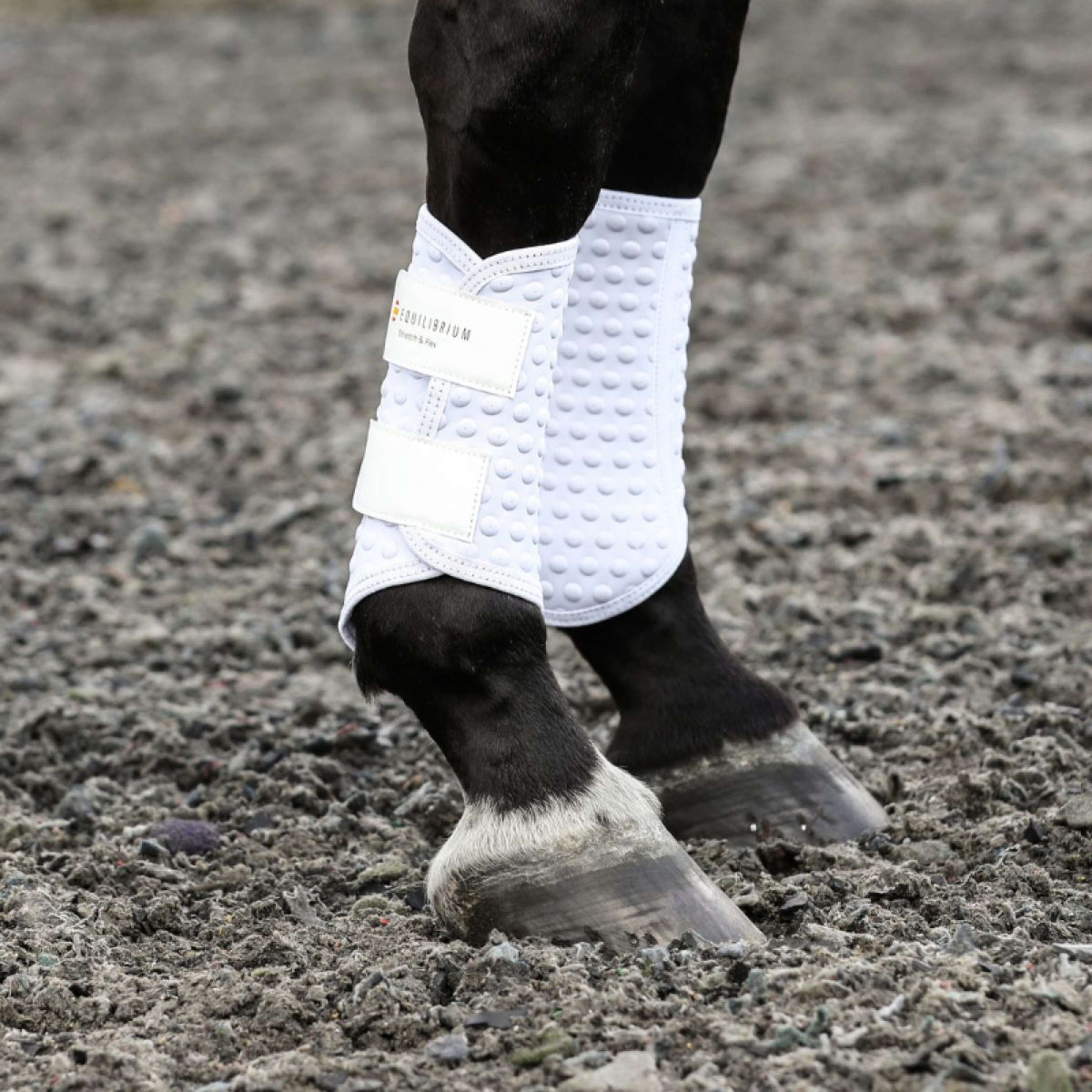 Equilibrium Protectores de piernas Stretch & Flex Flatwork Blanco Equilibrium Protectores de piernas Stretch & Flex Flatwork Blanco
