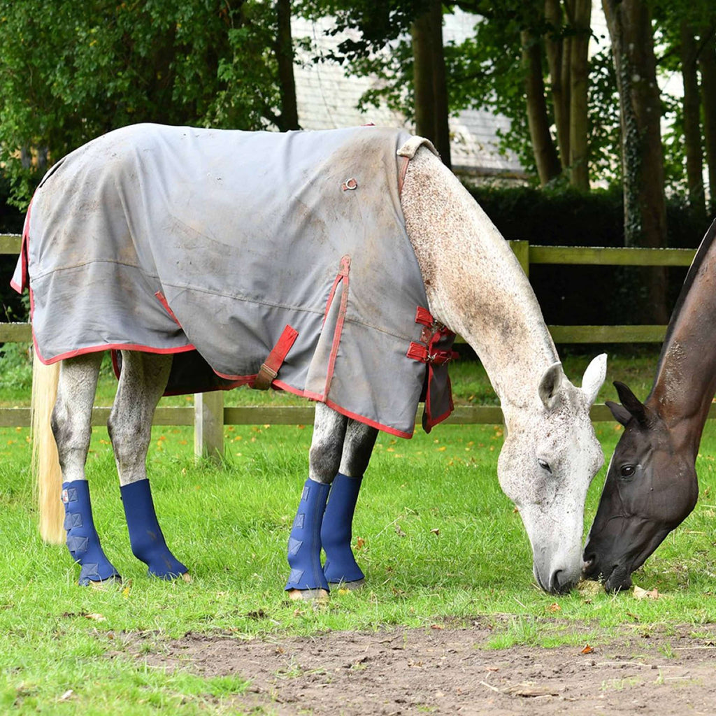 Equilibrium Protectores de piernas Equi-Chaps Hardy Navy