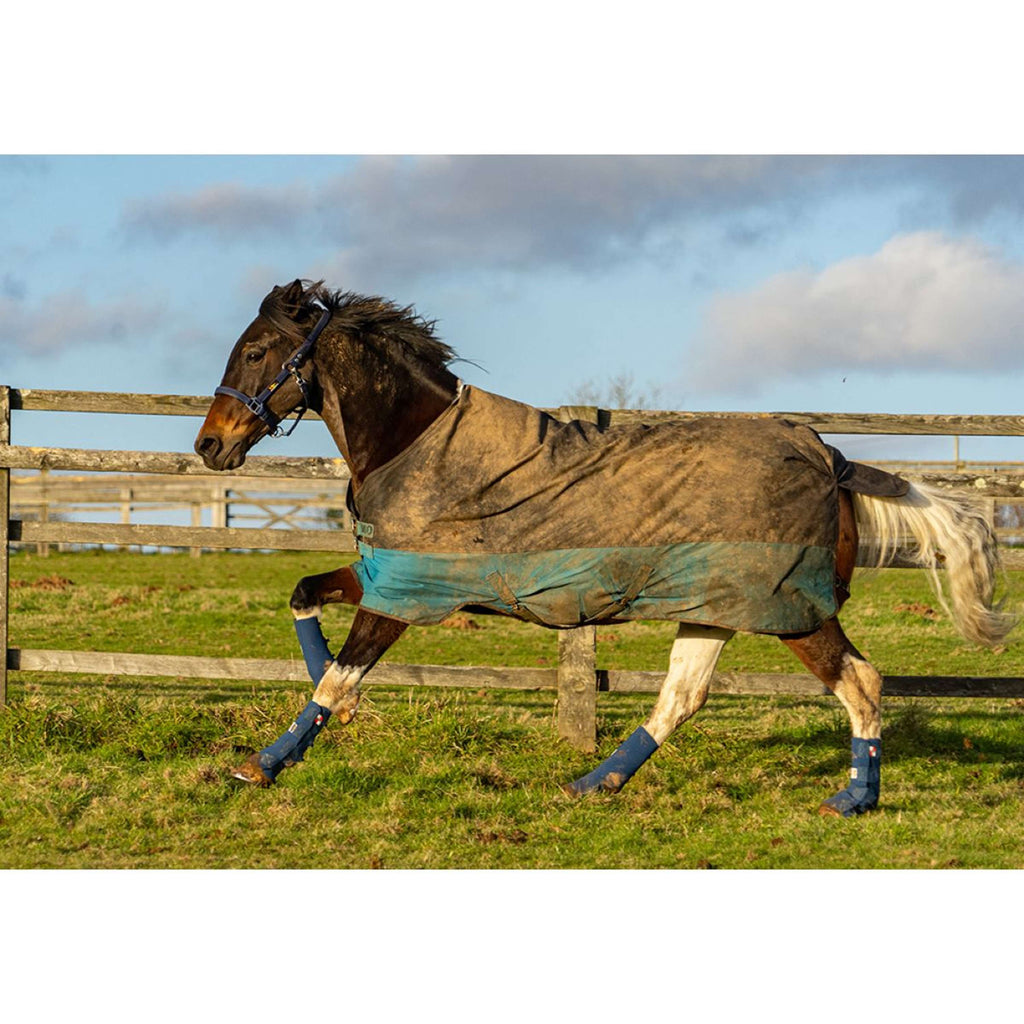 Equilibrium Protectores de piernas Equi-Chaps Hardy Navy