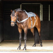 Equilibrium Massage Pad Gris