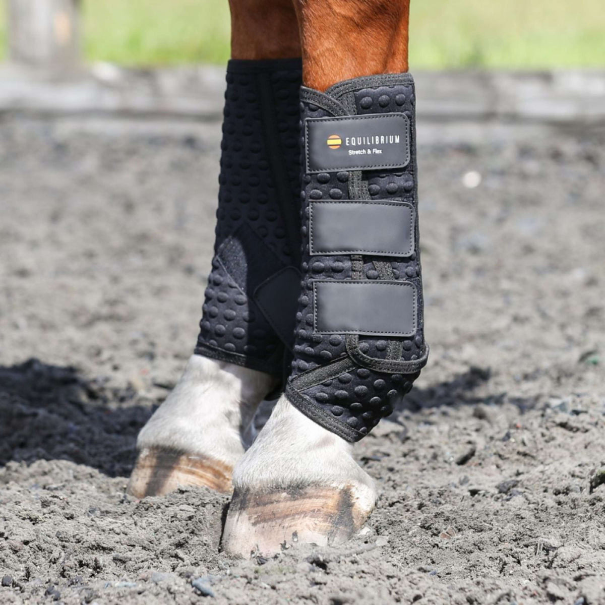 Equilibrium Protectores de piernas Stretch & Flex Training Negro