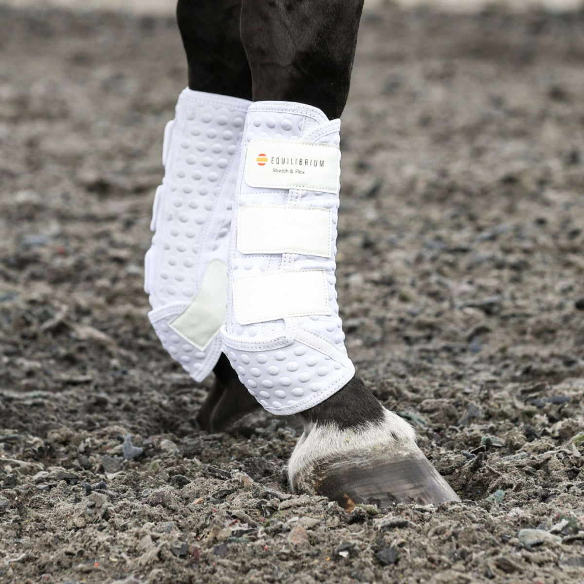 Equilibrium Protectores de piernas Stretch & Flex Training Blanco