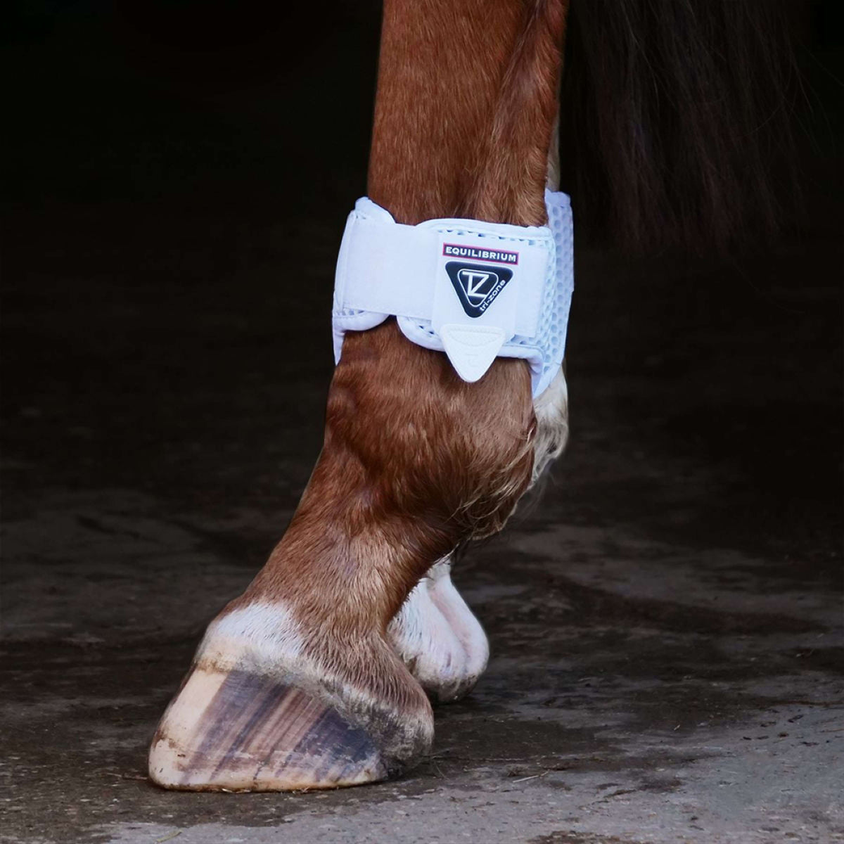 Equilibrium Botas para menudillo Tri-zone Blanco