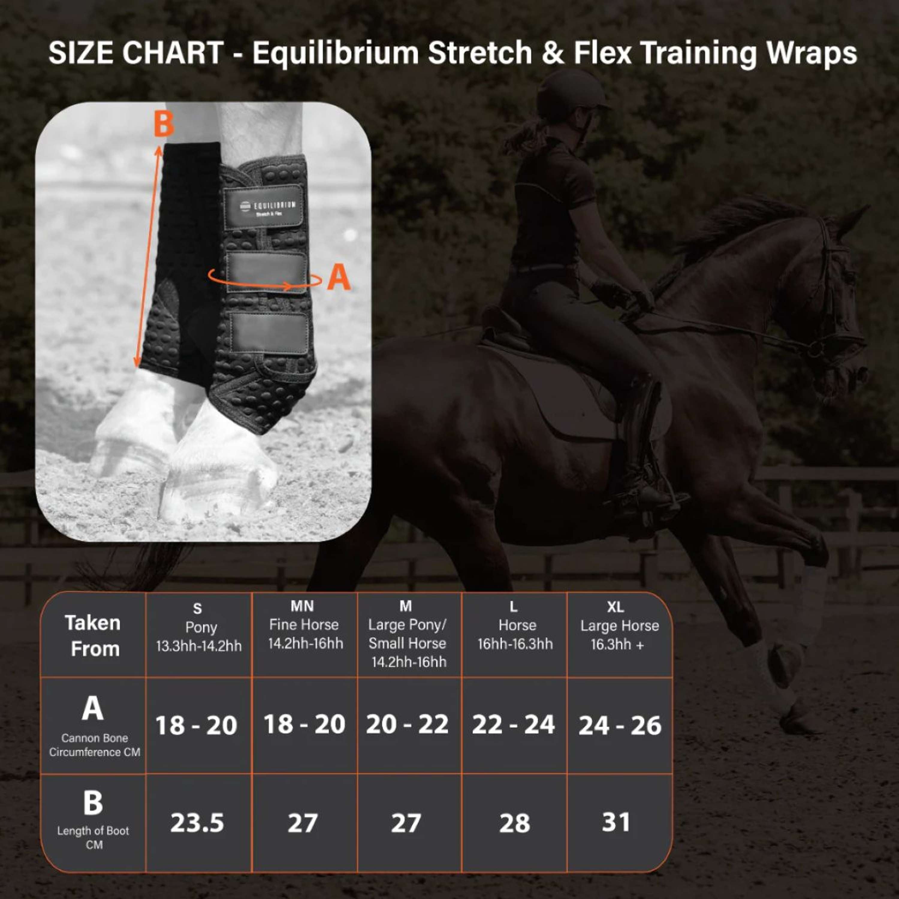 Equilibrium Protectores de piernas Stretch & Flex Training Negro