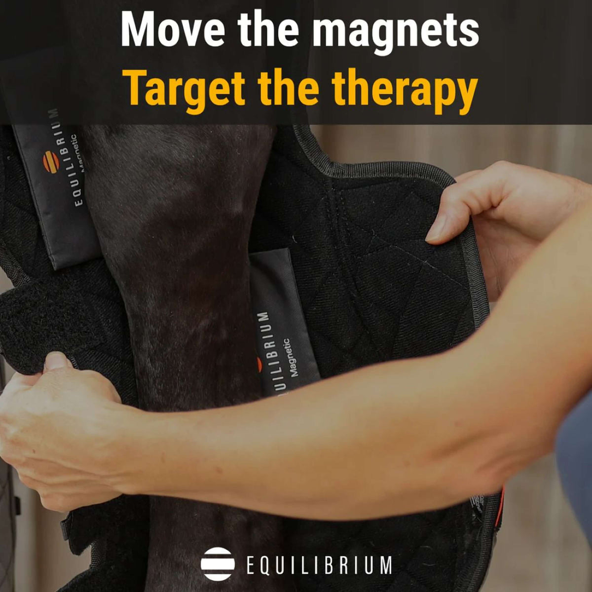 Equilibrium Protectores de piernas Hind & Hock Magnetic Gris
