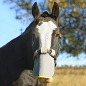 Equilibrium Red nasal Field Relief Gris