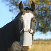 Equilibrium Red nasal Field Relief Gris