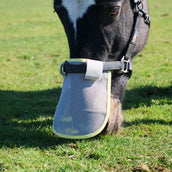 Equilibrium Red nasal Field Relief Gris