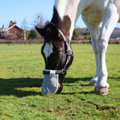 Equilibrium Red nasal Field Relief Gris