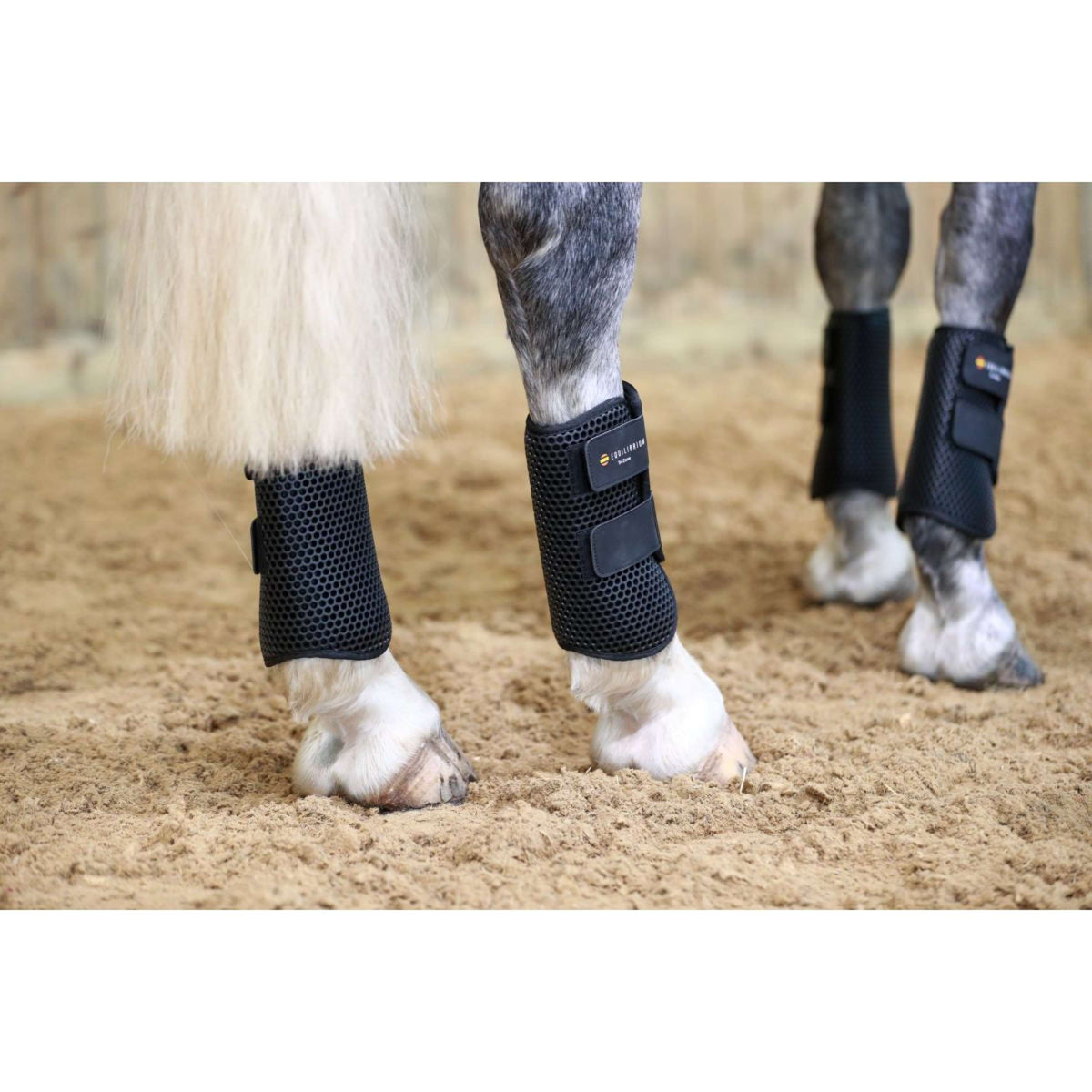 Equilibrium Protectores de piernas Tri-Zone All Sports Negro