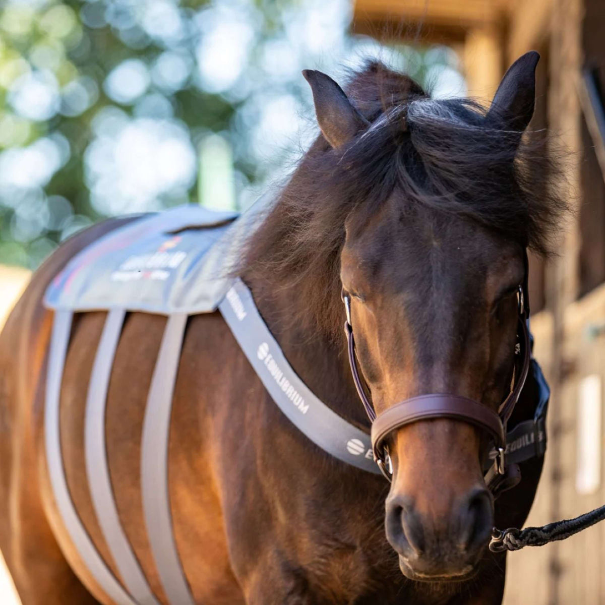 Equilibrium Massage Pad Heatsense Gris