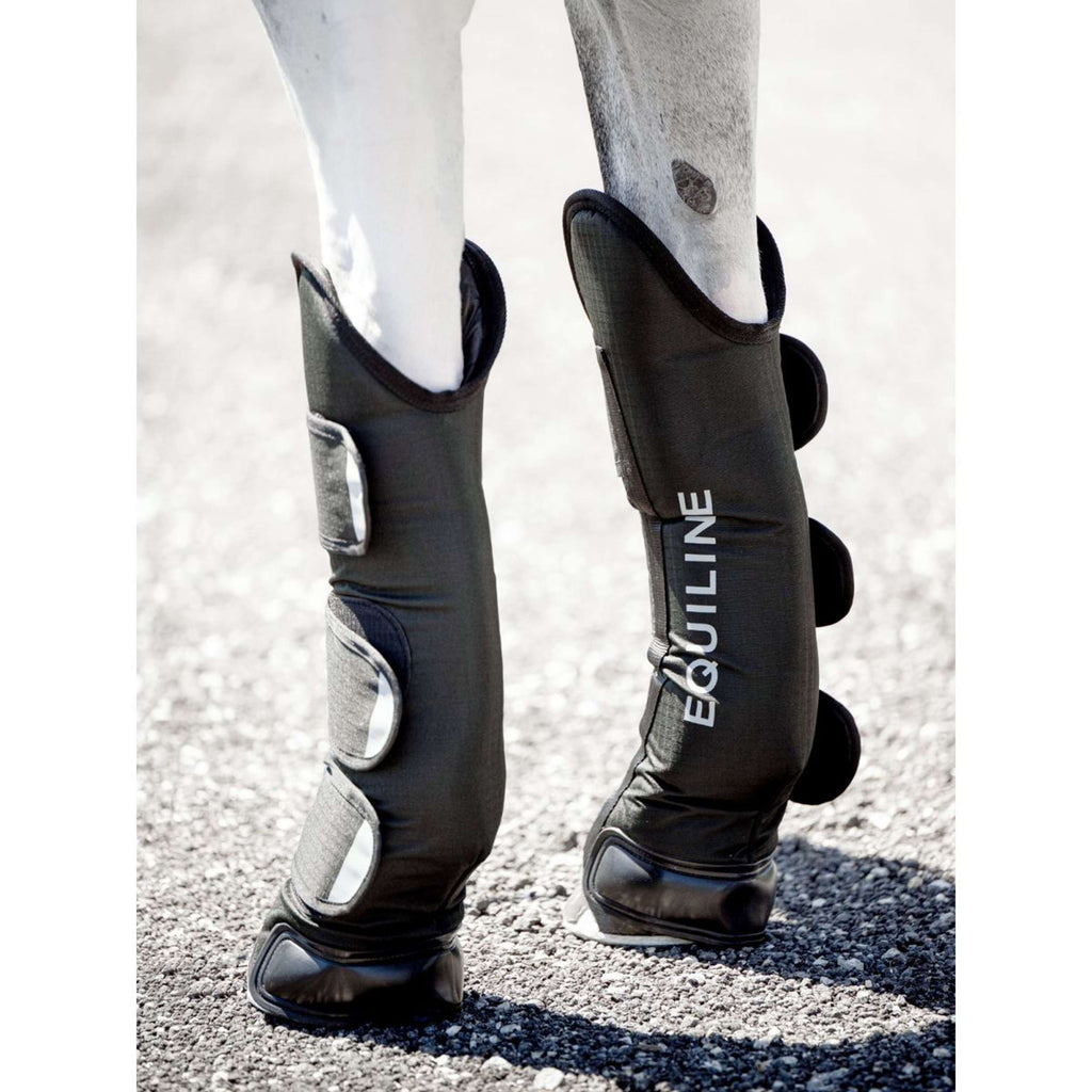 Equiline Protectores de transporte Rex Negro