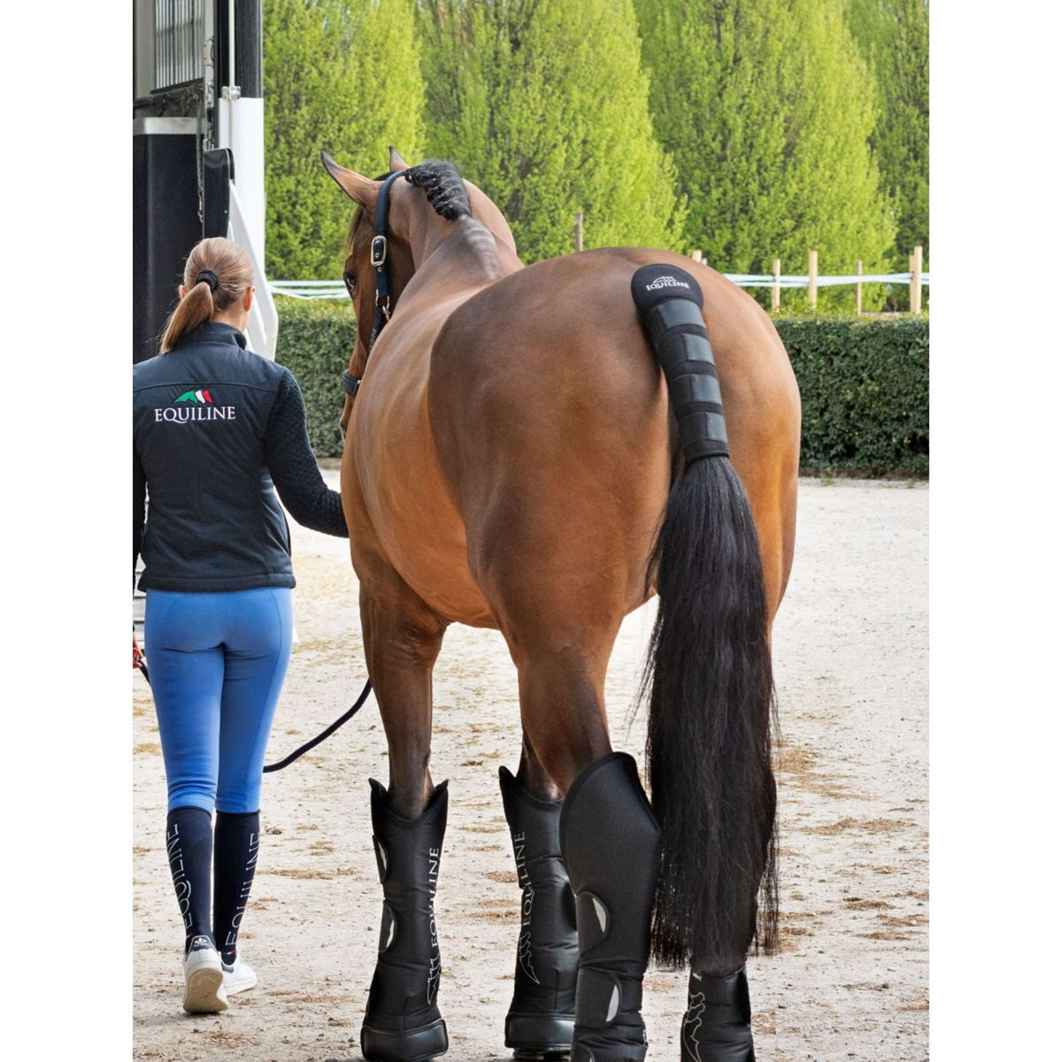 Equiline Protector de Cola Noll Negro