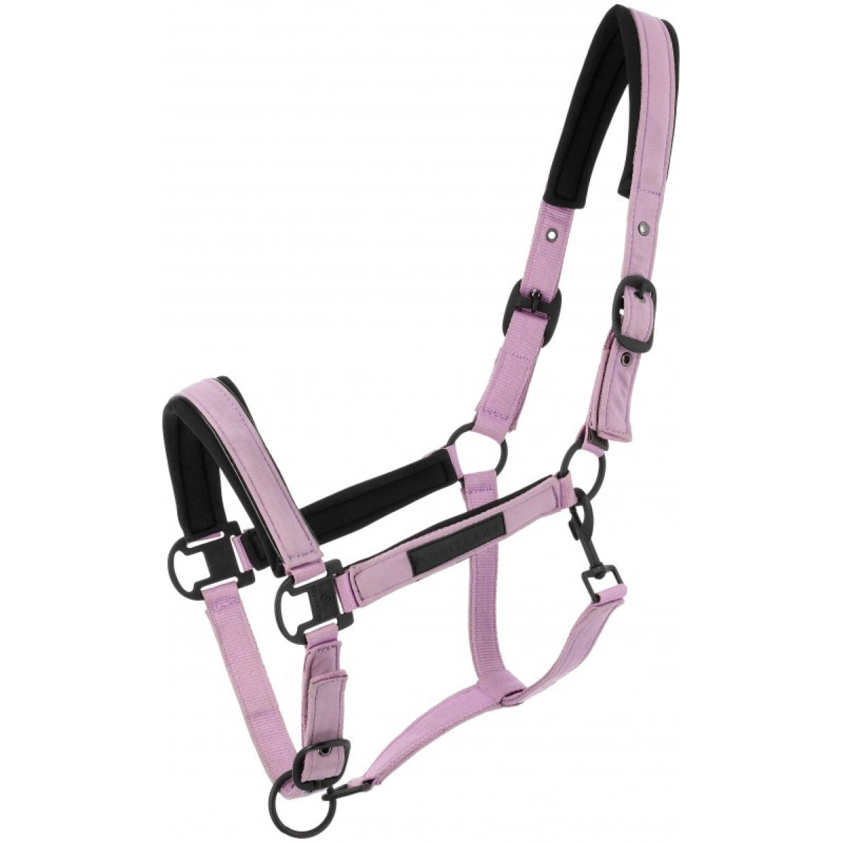 EQUITHÈME Cabestro Pearl Lavander