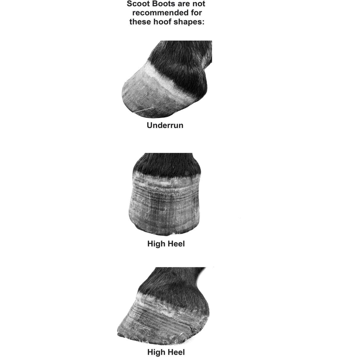 Scoot Boots Herradura Slim Single Pony Negro