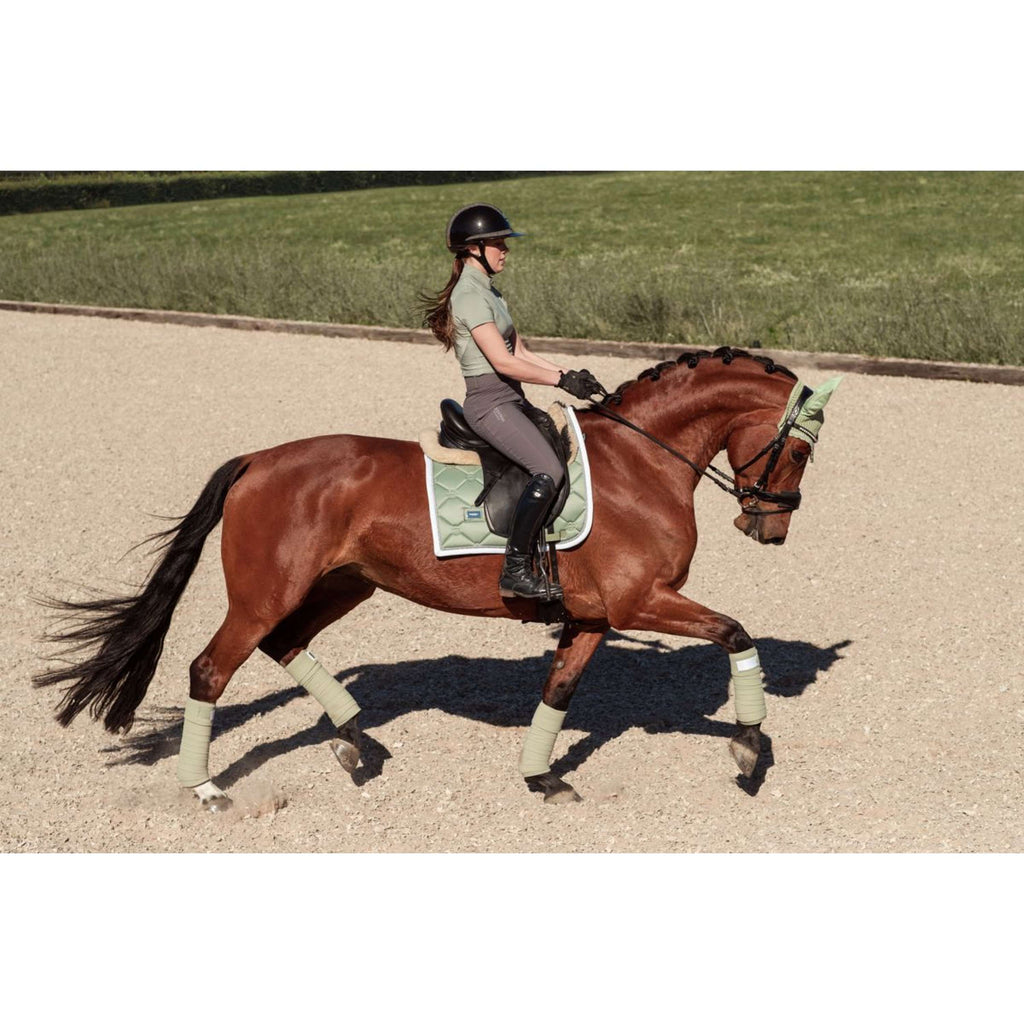 Equestrian Stockholm Camiseta Dynamic Short Sleeve Pistachio White