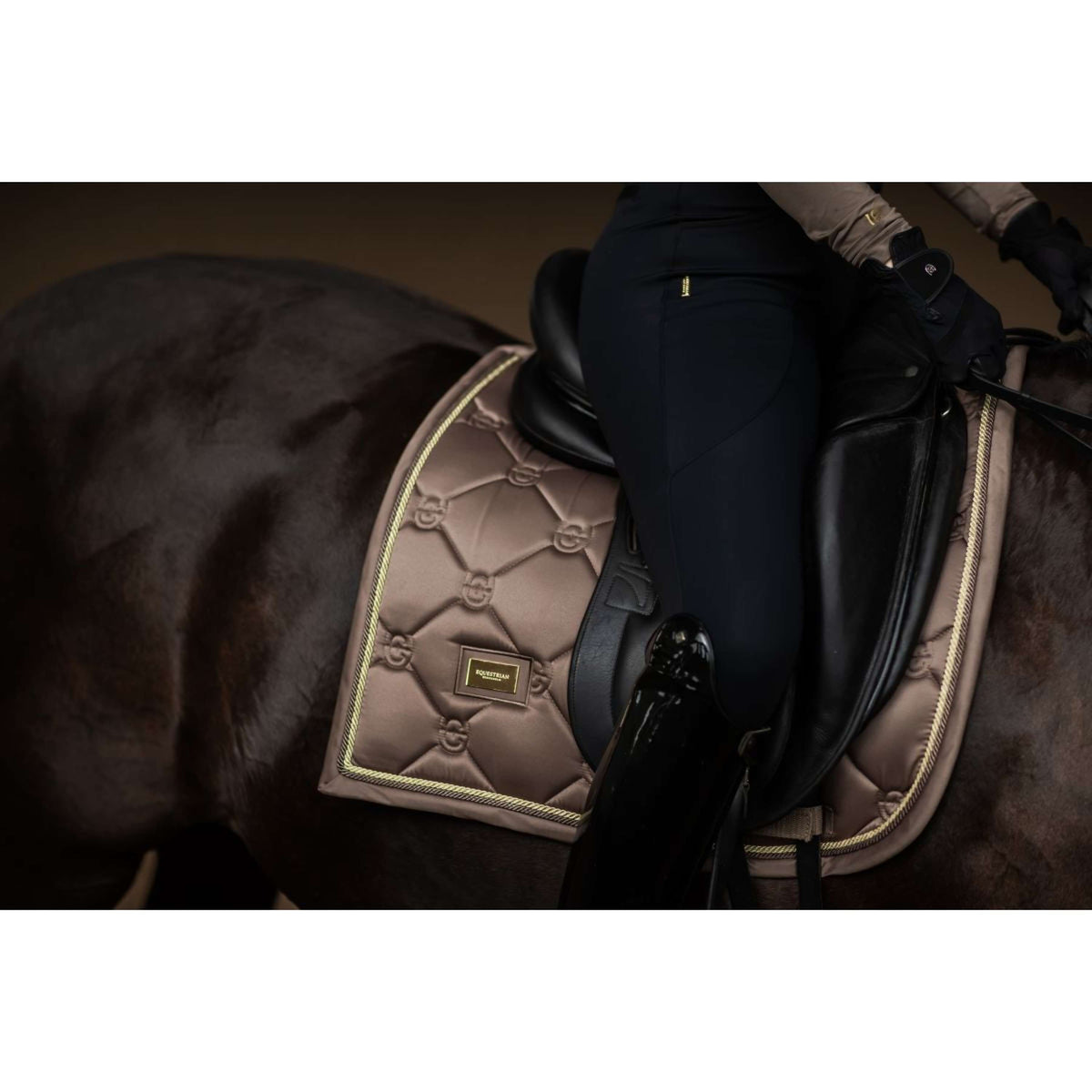 Equestrian Stockholm Mantilla Doma clásica Champan