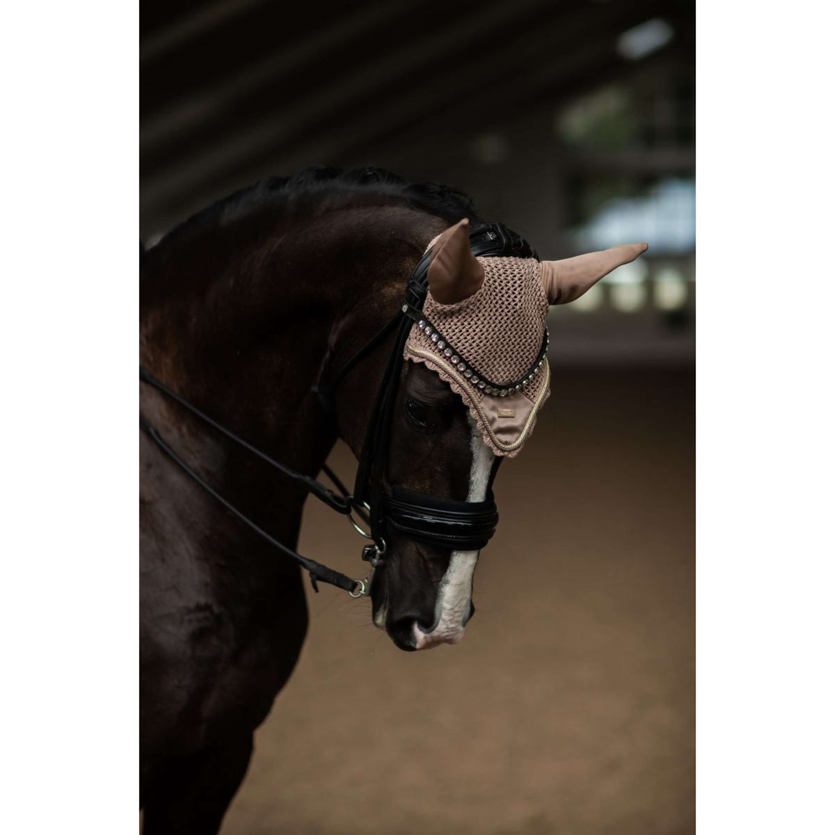 Equestrian Stockholm Bonete para Orejas Champan